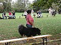 img 034